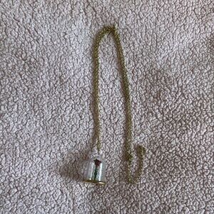 Disney Beauty and the beast rose necklace